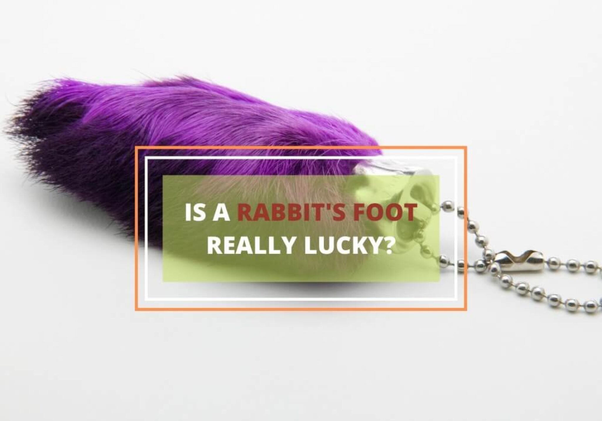 why are rabbits feet lucky