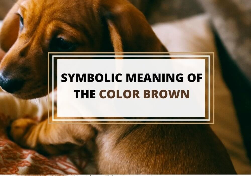 Brown color symbolic meaning