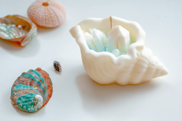 conch shell jewelry