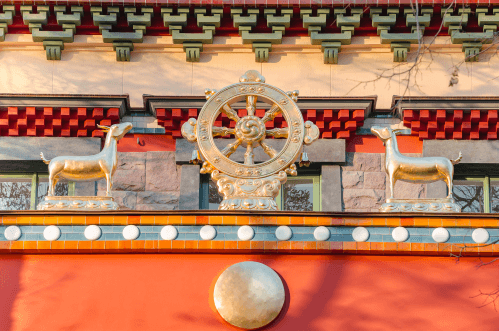 Dharma wheel history