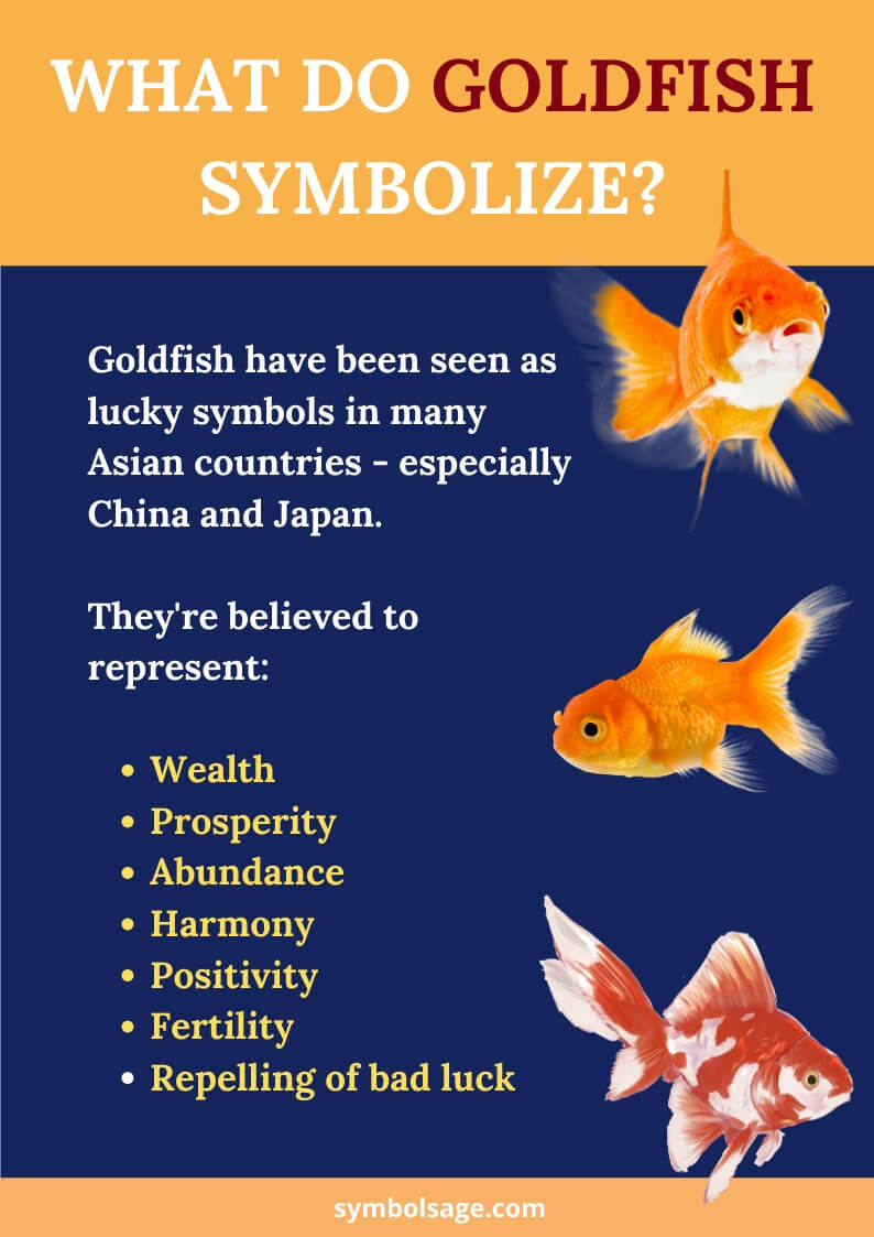 Goldfish meaning and symbolism