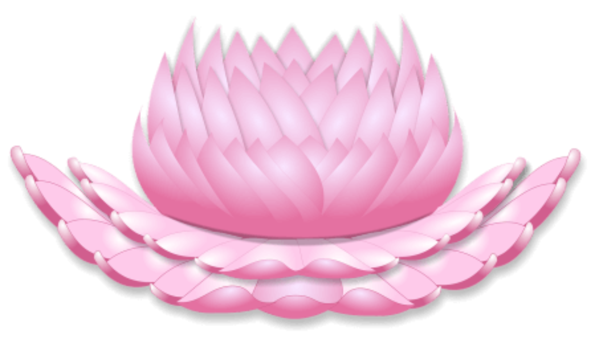 Buddhist Symbols Lotus Flower