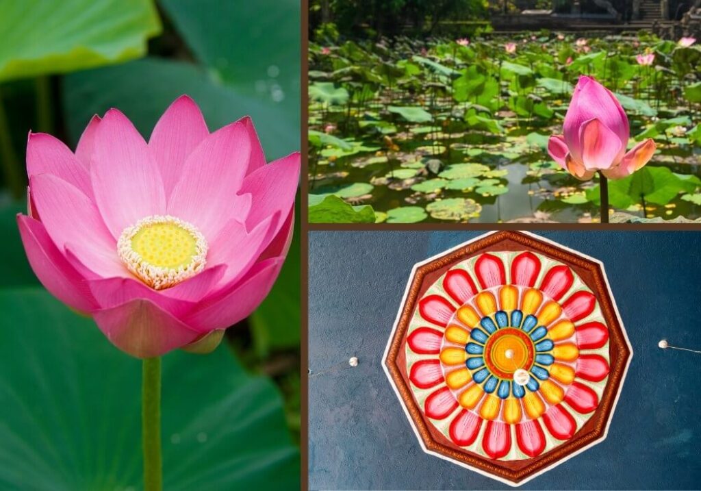 15 Powerful Hindu Symbols and What They Mean