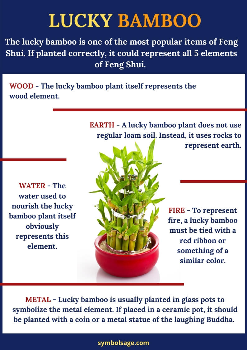 lucky bamboo meaning