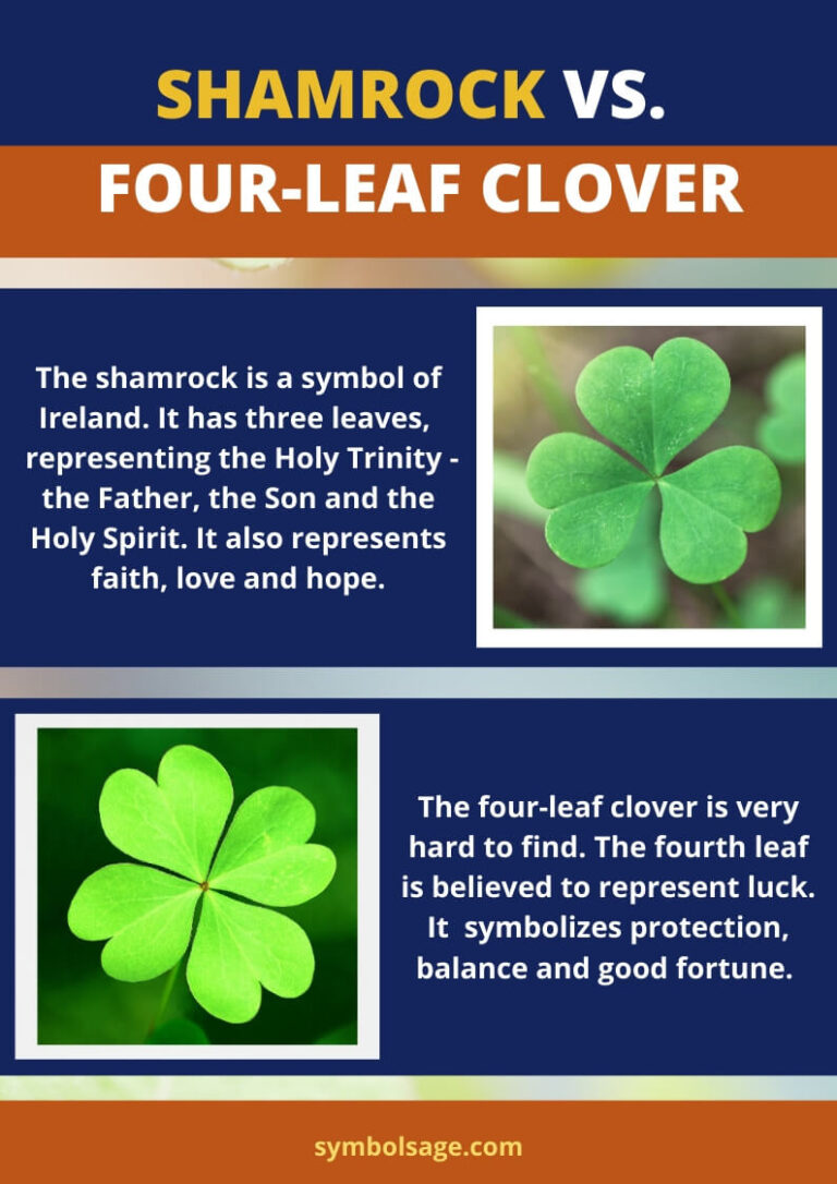 Four Leaf Clover Vs Three Leaf Clover