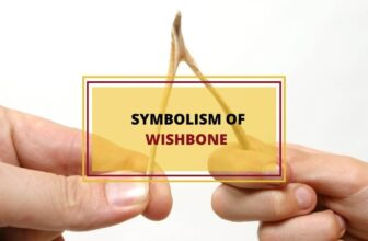 Wishbone symbol