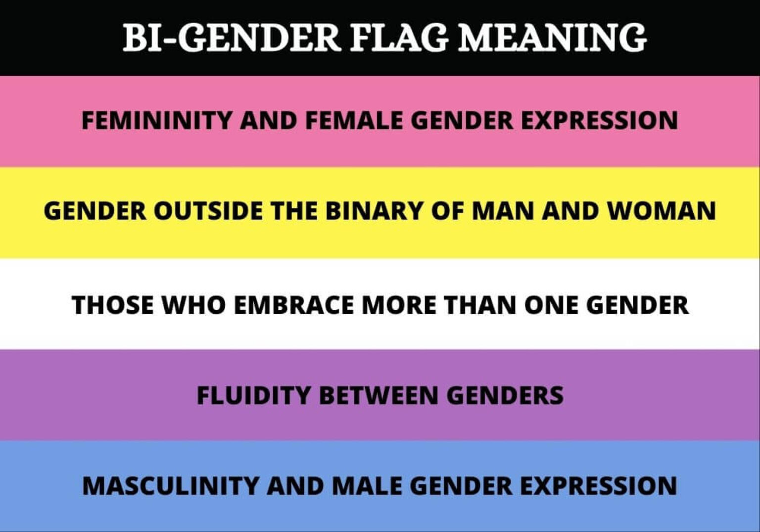 The Bigender Flag Exploring its History and Representation Symbol Sage