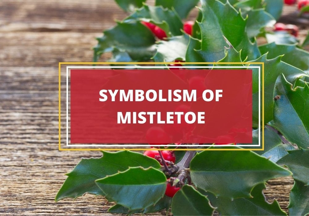 Mistletoe symbolism and meaning