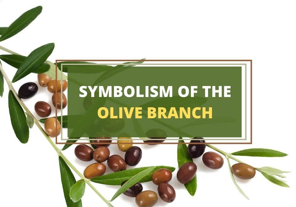 Olive branch symbolism and meaning