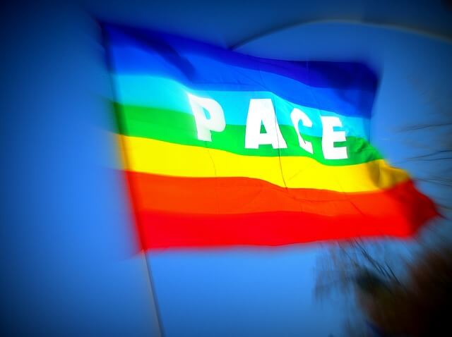 Pace flag