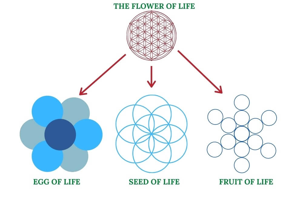 Seed of life flower of life fruit of life