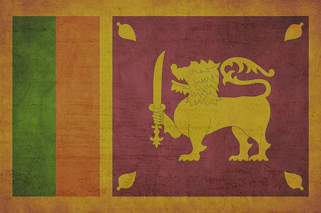 Sri Lankan lion and sword flag
