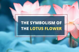 Symbolism of lotus