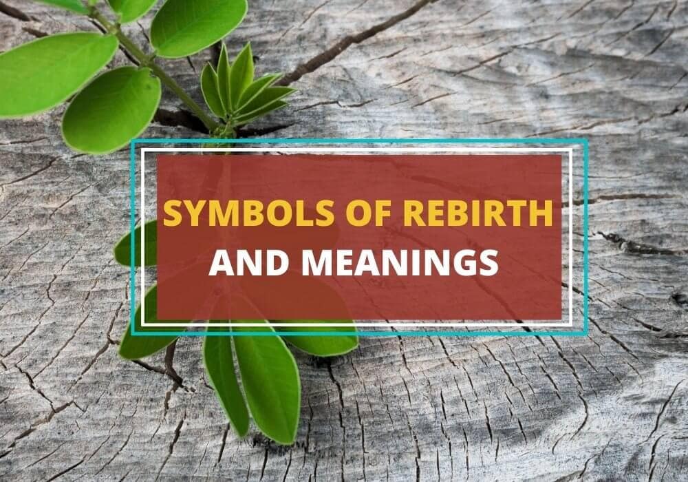 Symbols of rebirth