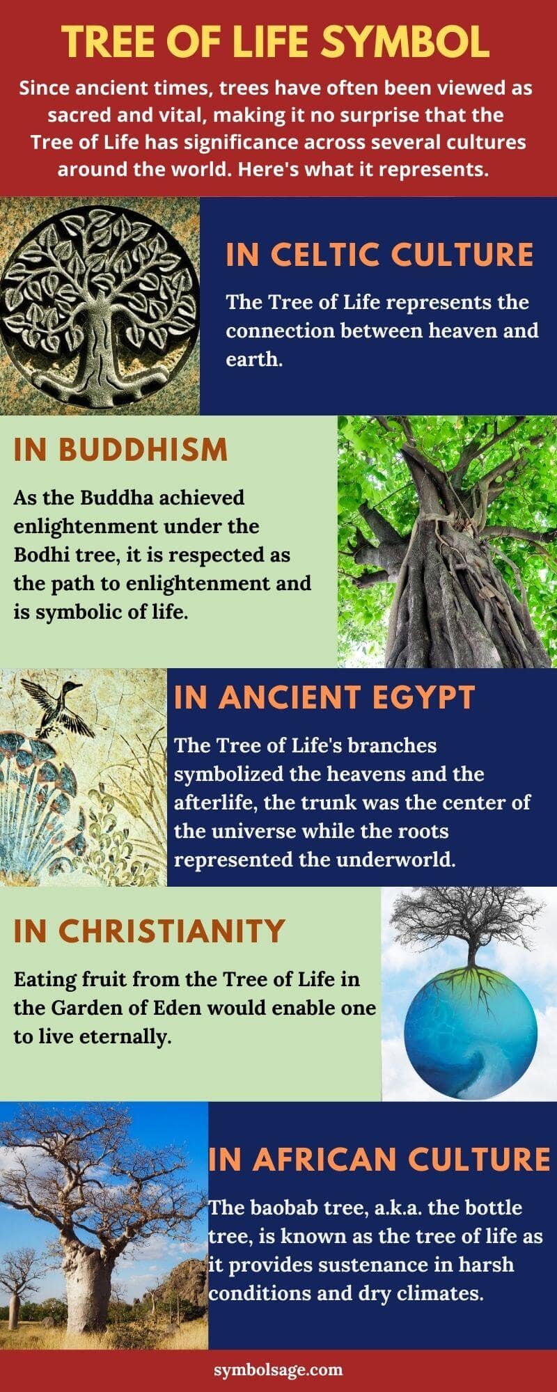 Tree of life symbol meaning in different cultures