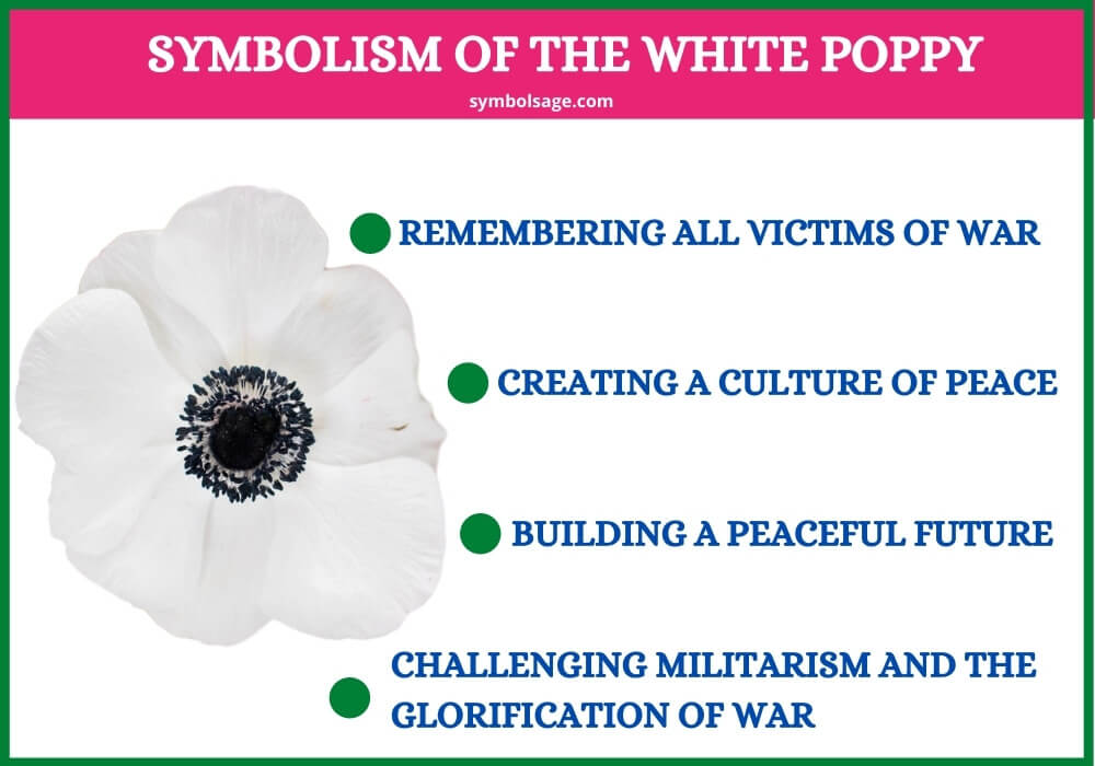 White poppy flower significance