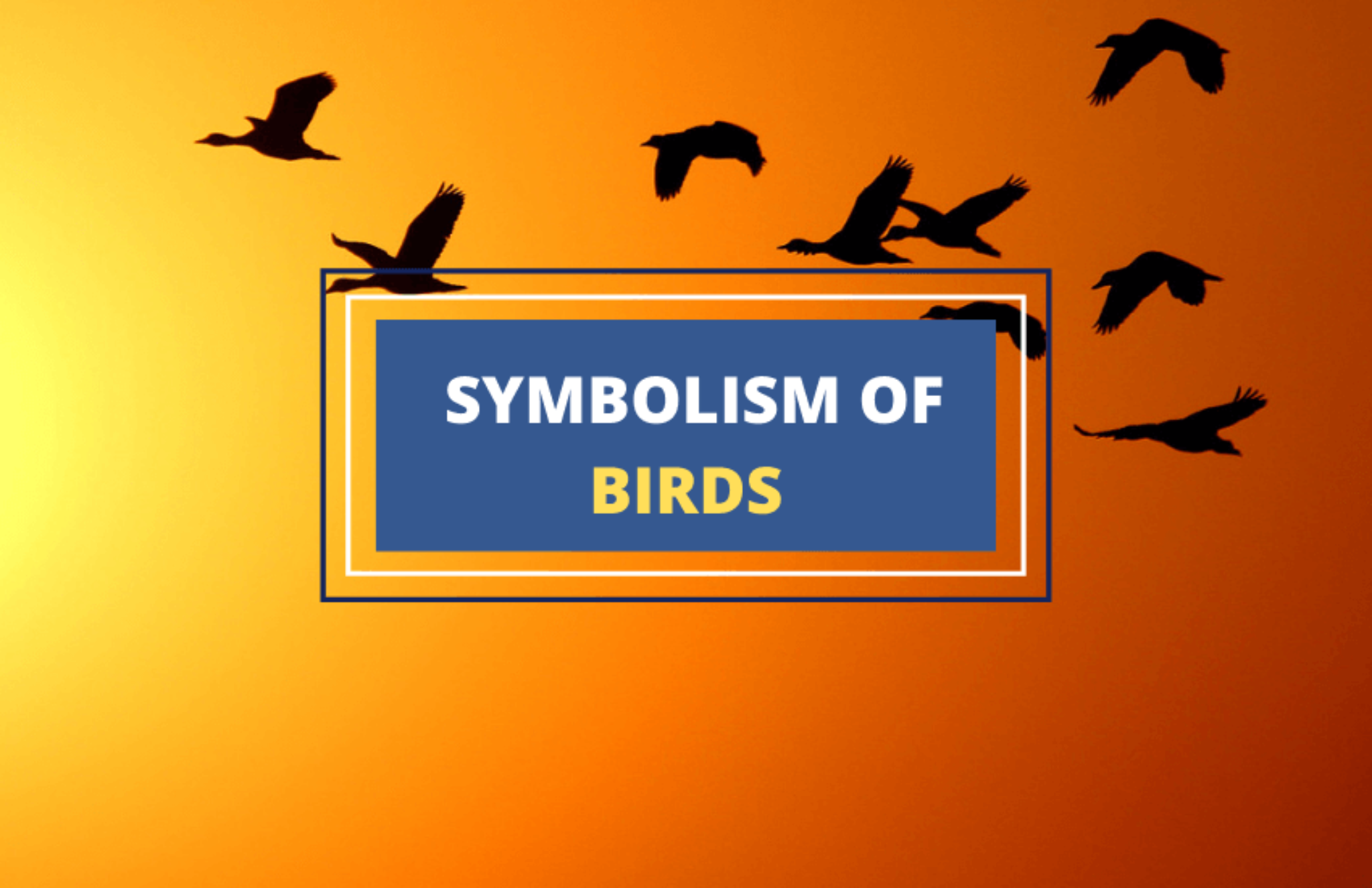 12 Birds With Rich Symbolic Meanings Myth to Reality