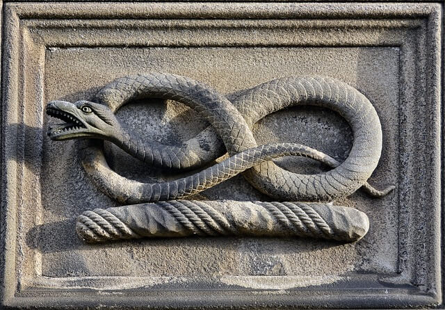 dreaming of serpent symbolism