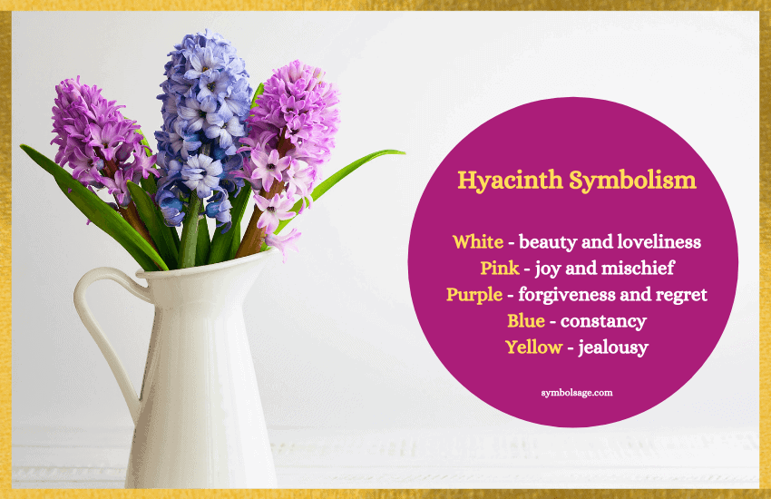 Hyacinth color symbols