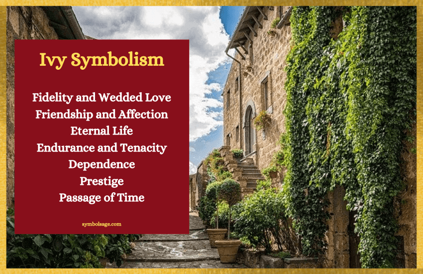 Ivy meaning symbolism