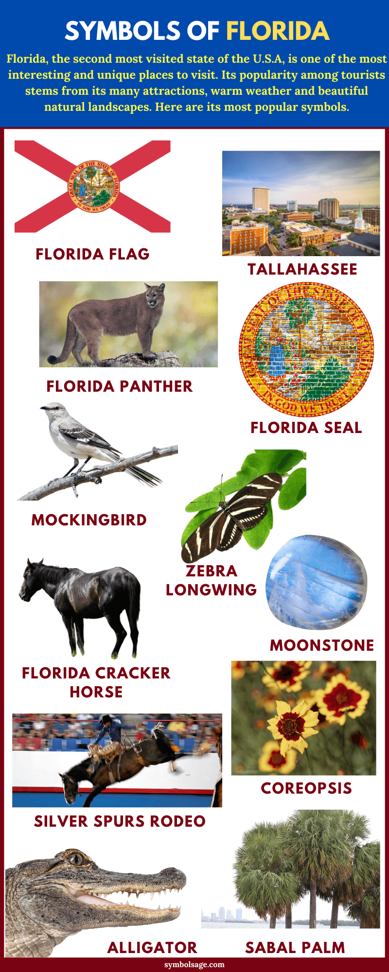 Symbols of Florida (A List) - Symbol Sage