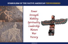 thunderbird meaning navajo