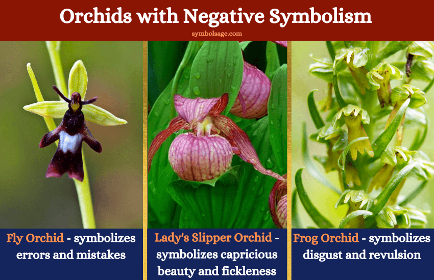 Negative types of orchid symbolism