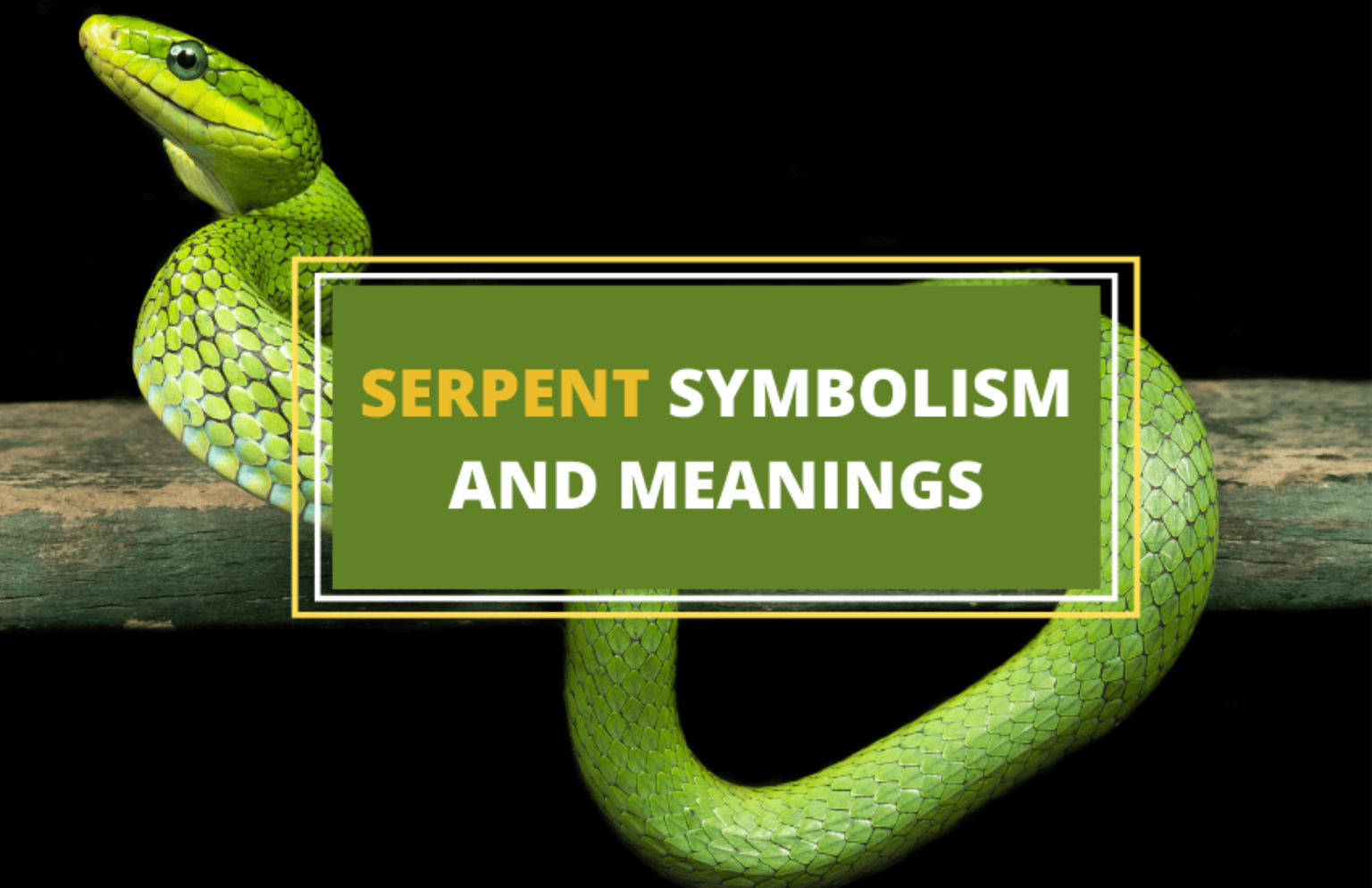 Exploring Serpent Symbolism Across Ages and Cultures Symbol Sage