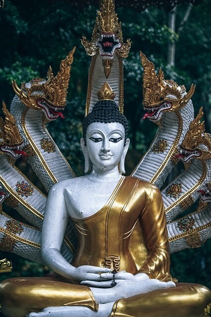 Snakes protecting Buddha