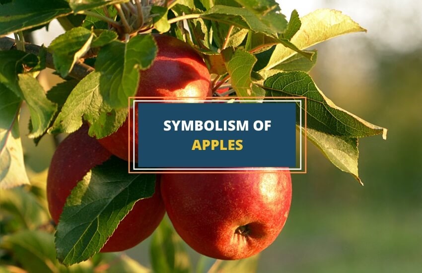 Symbolic meaning of apples