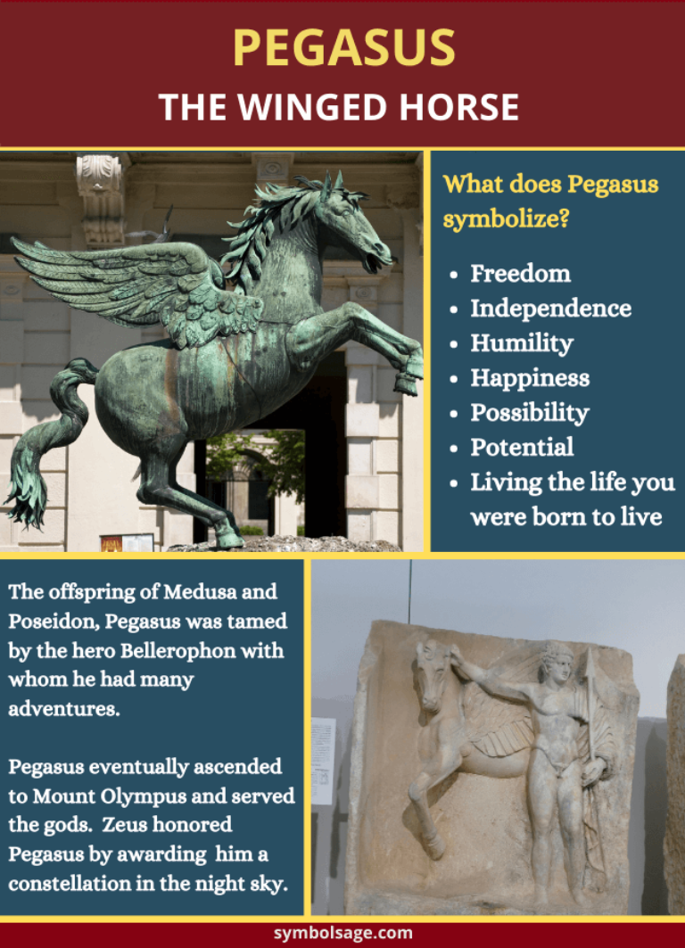 Pegasus The Iconic Winged Horse Of Greek Mythology Symbol Sage