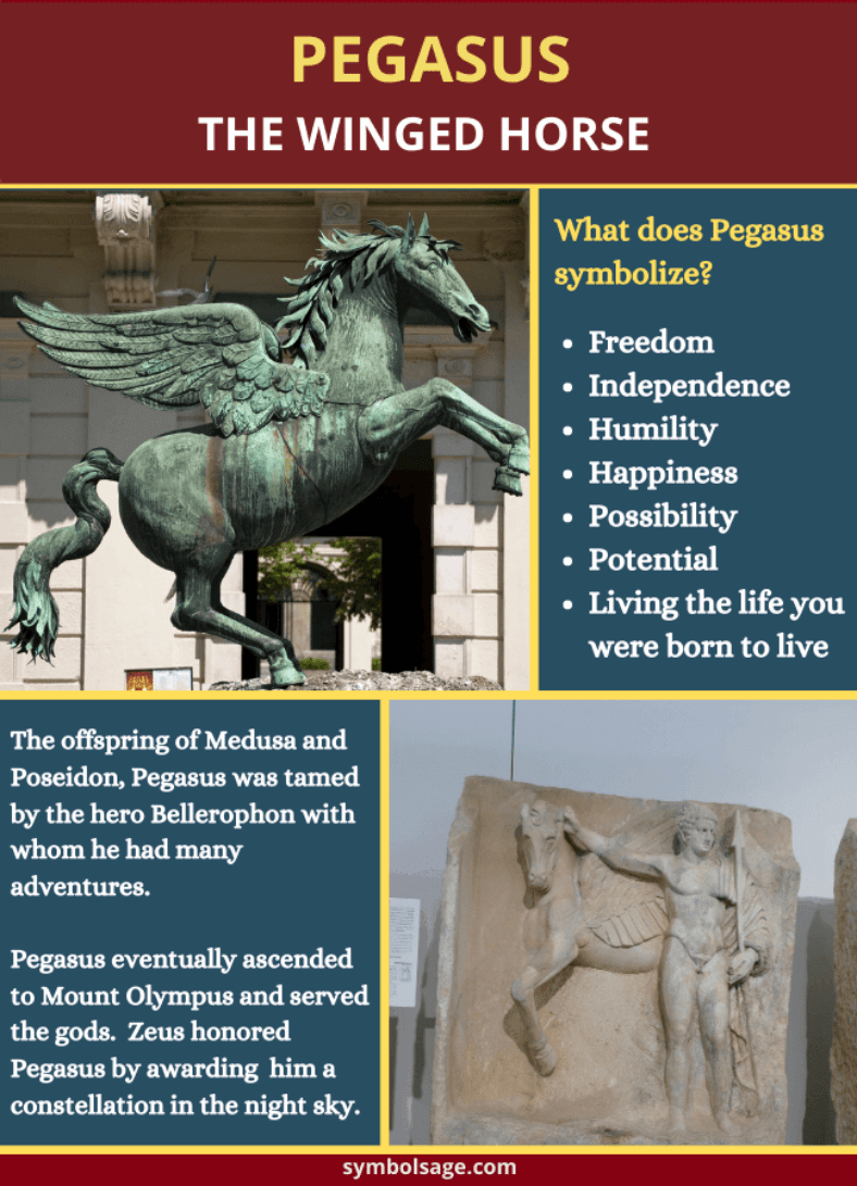 Pegasus: The Iconic Winged Horse of Greek Mythology - Symbol Sage