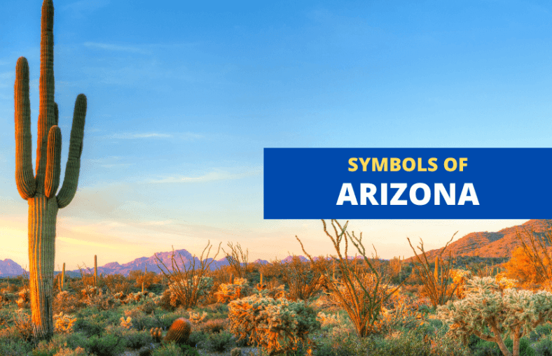 symbols-of-arizona-and-what-they-mean-symbol-sage
