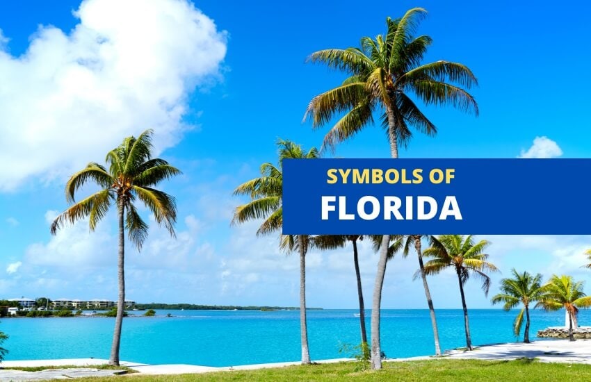 Symbols of Florida