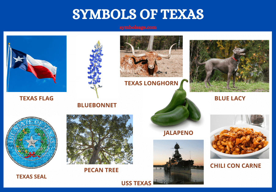 Symbols of Texas list