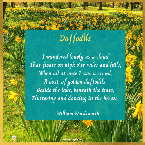 Daffodil poem