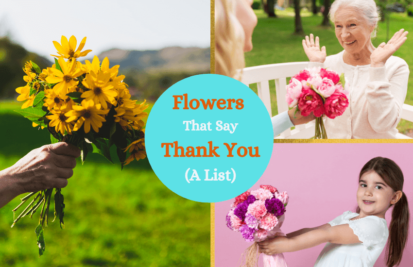 Flowers that say thank you