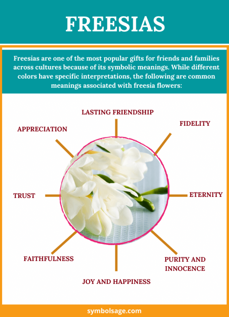 Freesia Symbolism and Meaning Symbol Sage