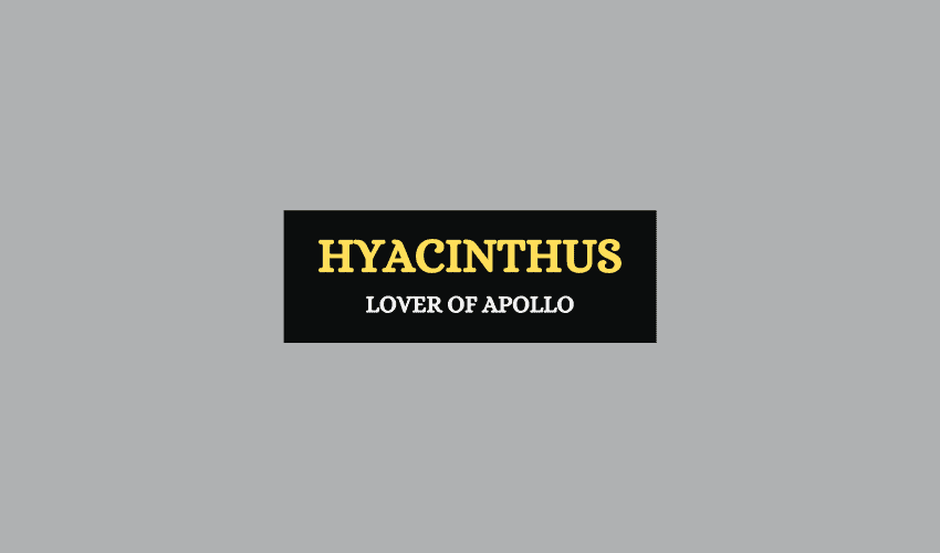 Hyacinthus Greek mythology