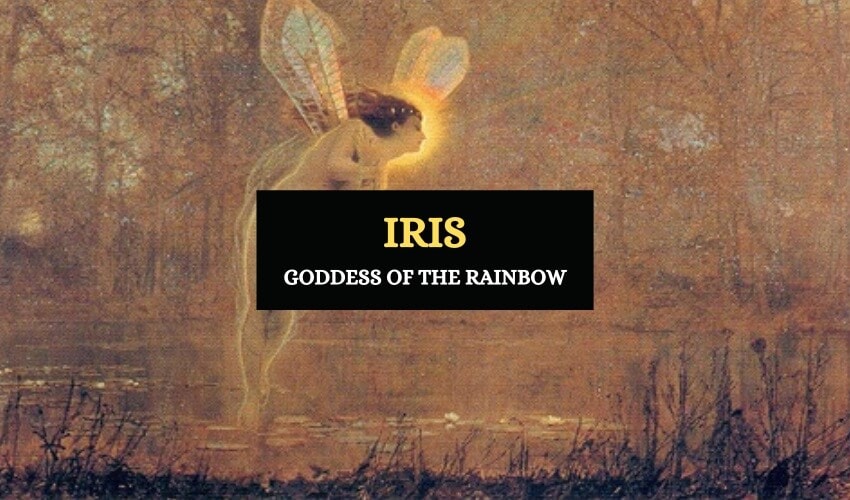 Iris goddess of the rainbow