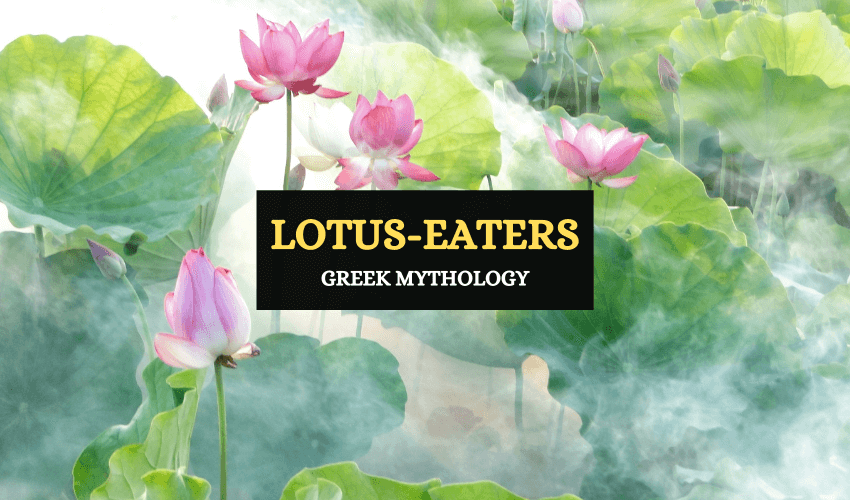 Lotus eaters Greek mythology