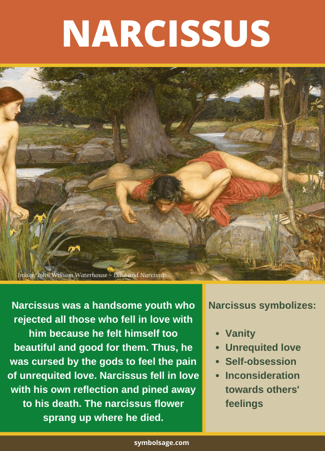 Narcissus symbolism Greek Mythology