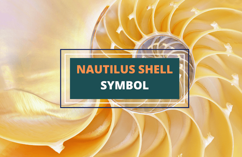 Nautilus shell symbol