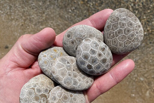Petoskey stones