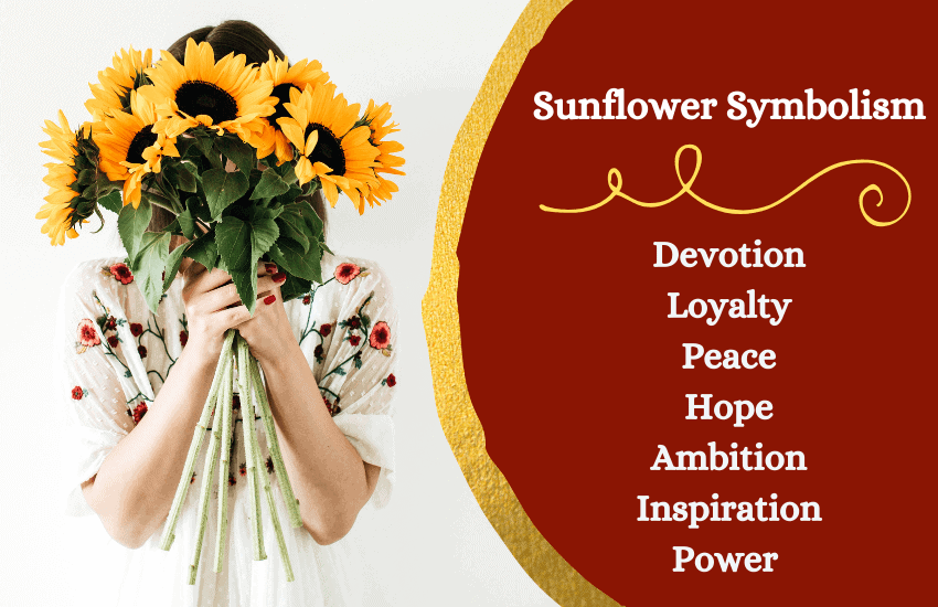 Symbolic meaning of sunflower