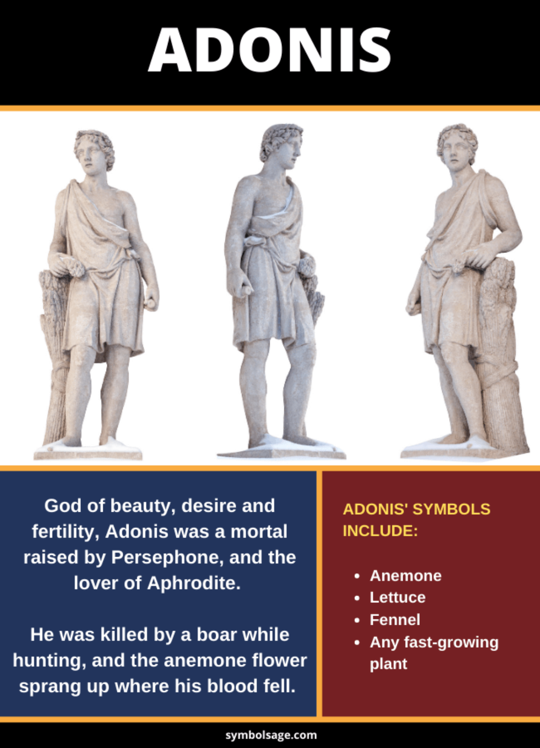 The Story of Adonis Greek Mythology's Handsome Mortal Symbol Sage