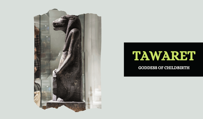 Tawaret Egyptian goddess childbirth