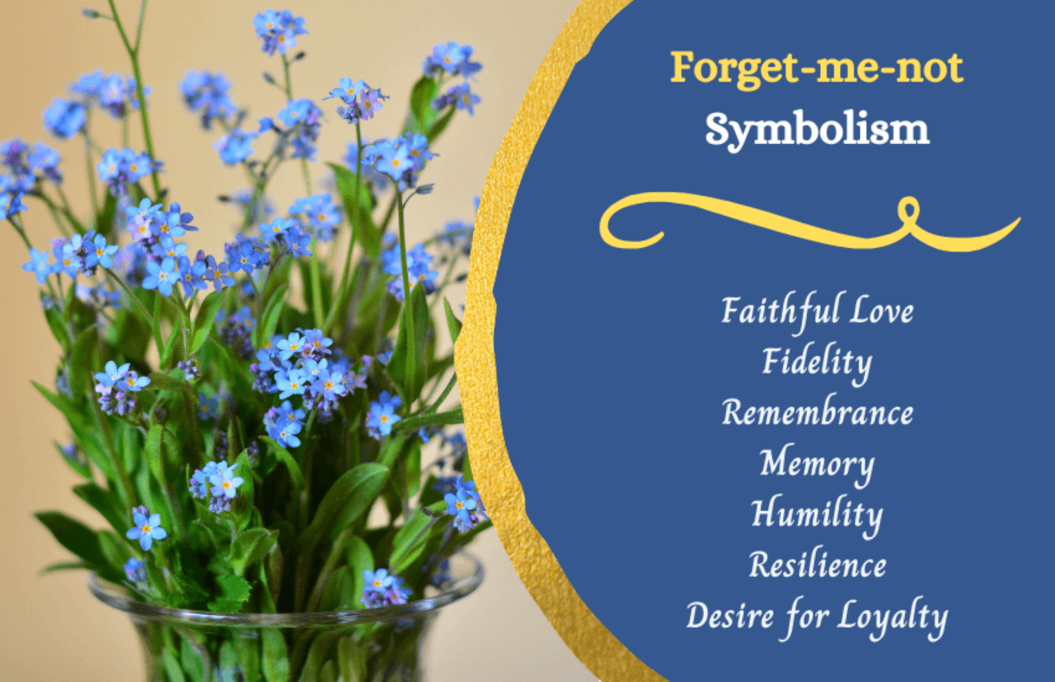 Flower Meaning and Symbolism Symbol Sage