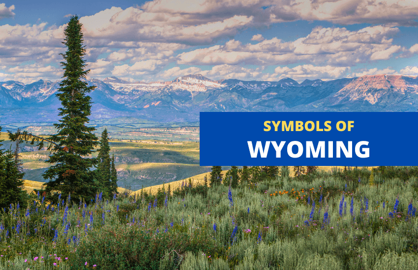 Wyoming state symbols list