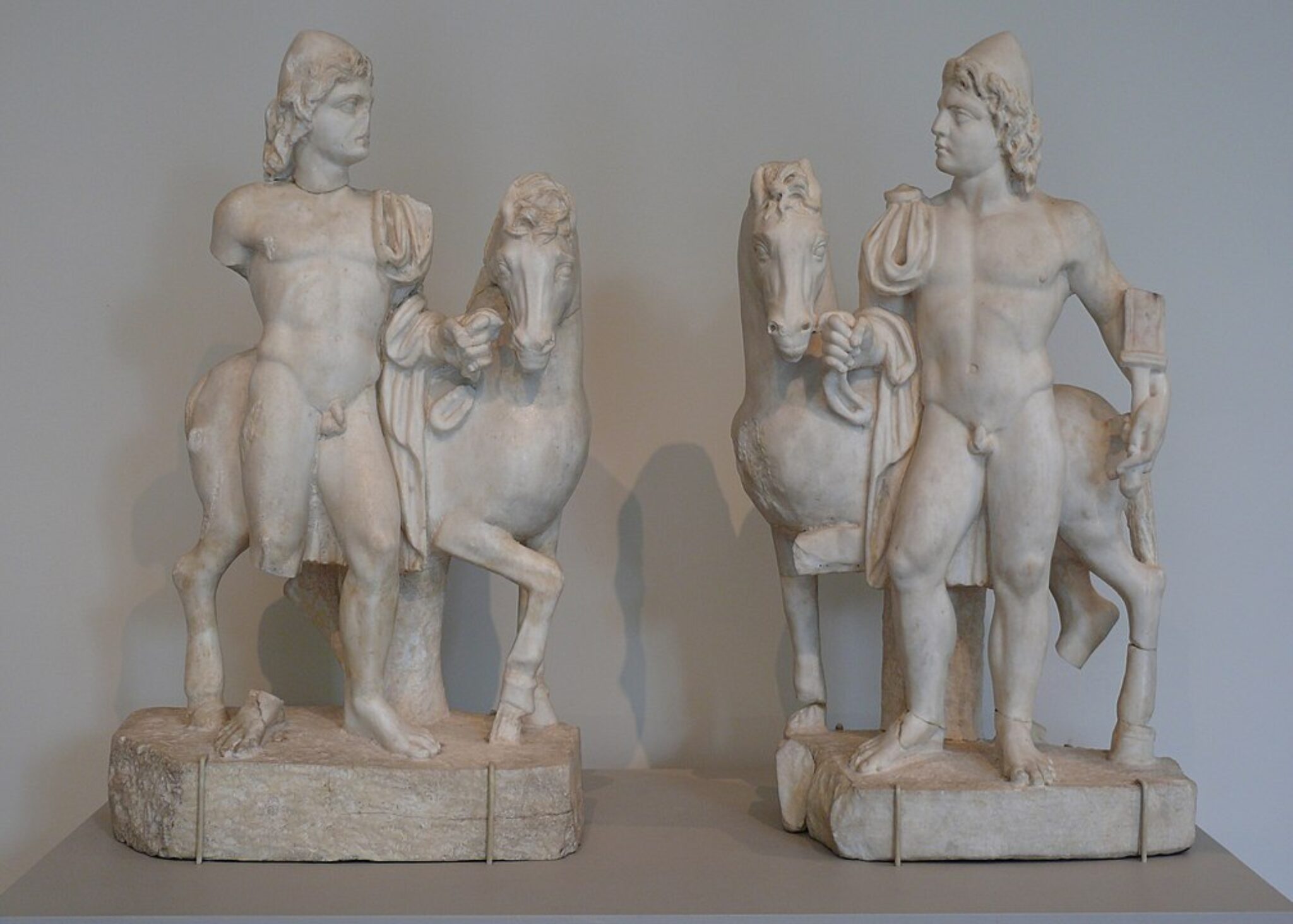 Castor and Pollux (Dioscuri) Greek Mythology Symbol Sage